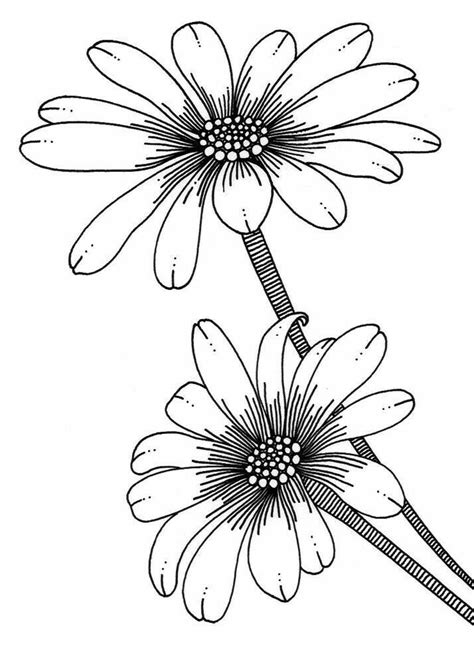 Pin by Lucía compArte on DIBUJOS Flower line drawings Flower drawing