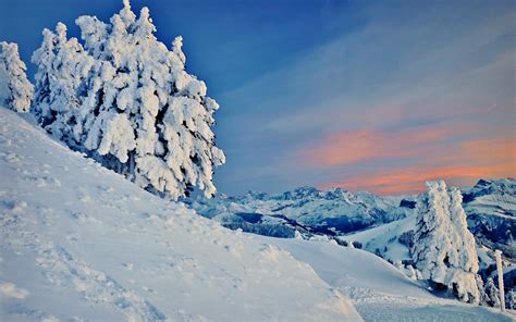 winter nature scenes wallpaper (1920x1200) - Coolwallpapers.me!