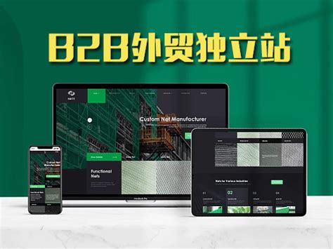 B2b企业外贸独立站——做能接单有询盘的网站【专业外贸建站】