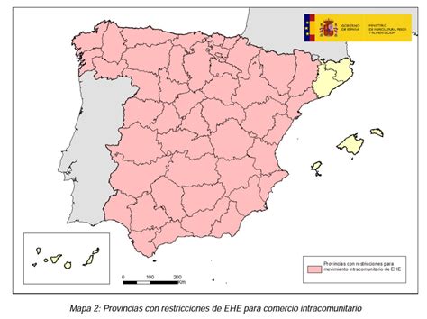 23 nuevos casos de de enfermedad hemorrágica epizoótica en España desde