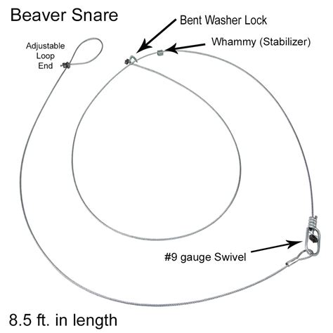 Hunting Accessories 116 Special Under Ice Beaver Snares Ausable 2 Ft