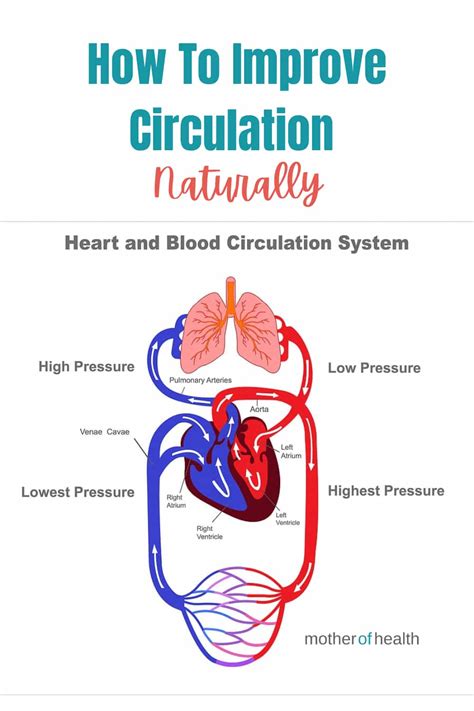 Ways To Improve Blood Circulation Naturally Mother Of Health