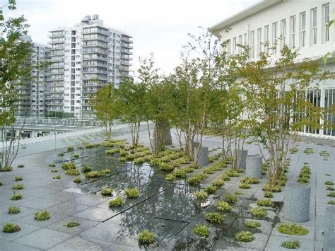 Keio University Roof Garden Michel Desvigne Techos Jardin Jardín