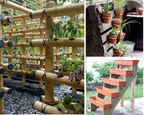 Berkebun Di Lahan Sempit Dengan Kebun Vertikal