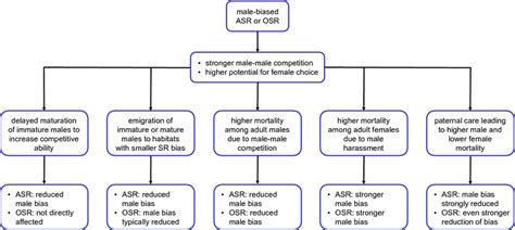 Adult Sex Ratio Variation Implications For Breeding System Evolution