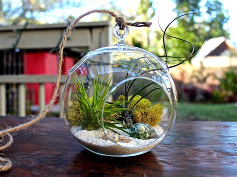 10 Beautiful Plant Terrariums Home Designing