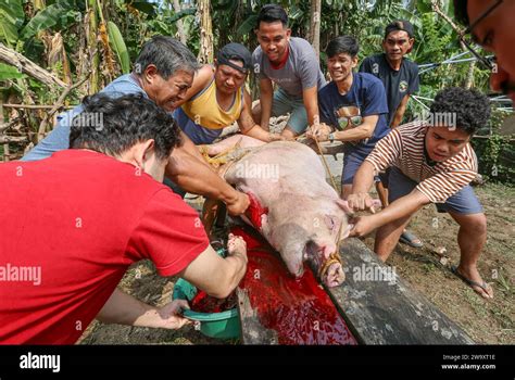 San José del Monte Filipinas 31 de diciembre de 2023 Sacrificio