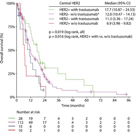 Overall survival from diagnosis of metastatic gastric/GEJ cancer... | Download Scientific Diagram