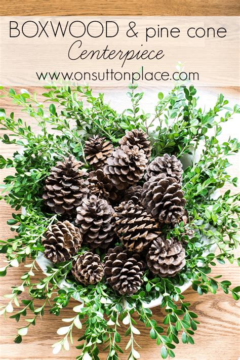 Boxwood and Pine Cone Centerpiece - On Sutton Place