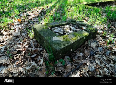 Abandoned Cemetery Castolovice Ceska Lipa Czech Republic The