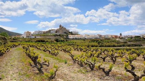 Los Mejores Vinos De La Marina Alta