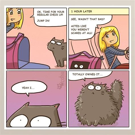 12 Comics That Are Too Realistic When It Comes To Living With A Cat