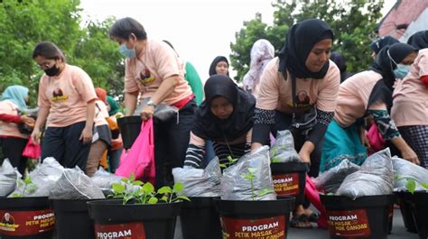 Jaga Ketahanan Pangan Melalui Penanaman Ratusan Pohon Cabai Di Jakbar