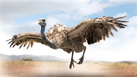 Premium AI Image | Photorealistic Rendering Of Flying Ostrich In Cinema4d