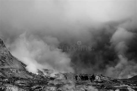 A Group Of People On White Island Stock Photo Image Of Adventure