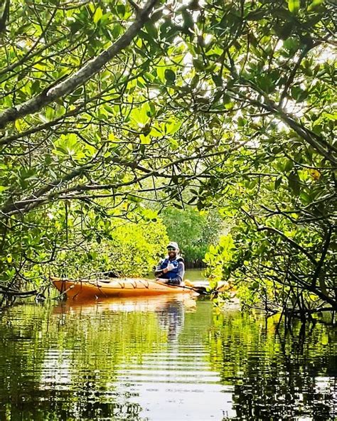 Discover Florida Kayak Fishing - Ride & Paddle