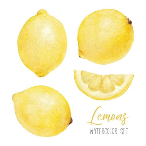 Premium Vector Watercolor Set With Lemons