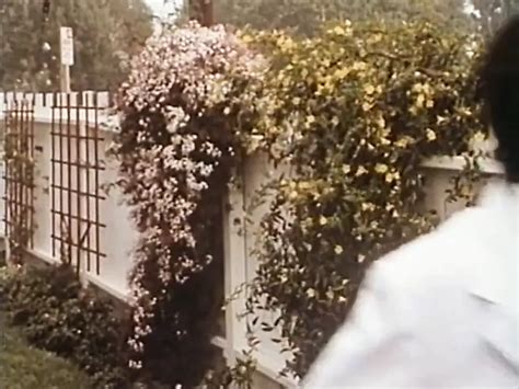 Hd Video Free Beeg Vintage Hd Porn Video B Xhamster