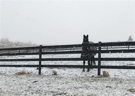 Winter Prep on My Farm - Your Horse Farm