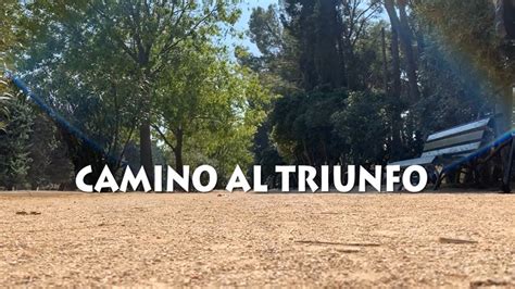 Camino Al Triunfo Un Documental Sobre Deporte Esfuerzo Y Dedicaci N