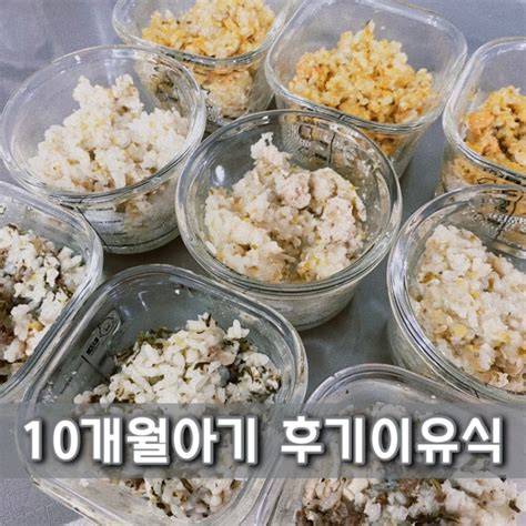 10개월아기 후기이유식 소고기 청경채 두부 닭고기 애호박 새송이 연어 단호박 표고버섯 네이버 블로그