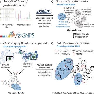 Structure Elucidation Workflow Based On NMR And MS MS Data A The