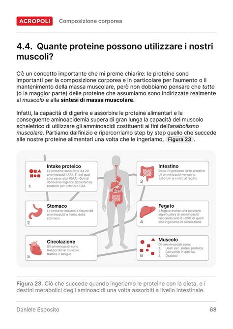 Composizione Corporea Project Invictus