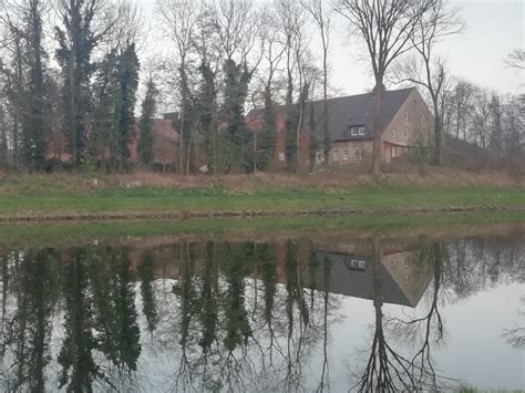 Отражение | Пикабу