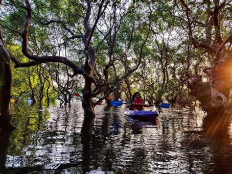 Kayaking In Goa - All About Goa