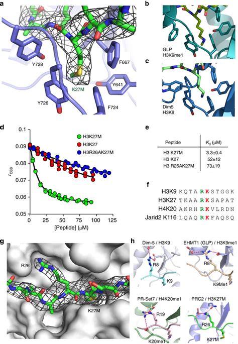 Pdb Hyn Citation Summary Protein Data Bank In Europe Pdbe Embl Ebi