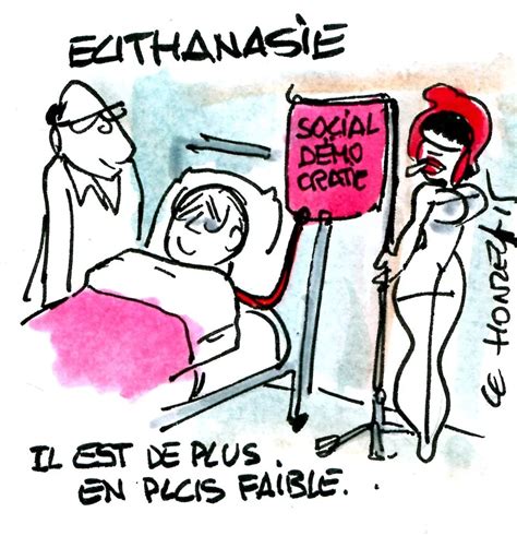 D Bat Sur L Euthanasie Est Ce Le Bon Moment Iref Europe