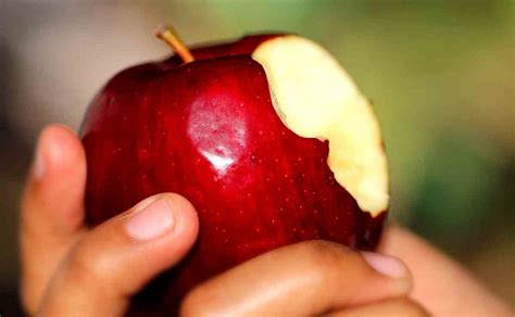 Cuántas calorías tiene una manzana y porqué son tan saludables Lifestyle