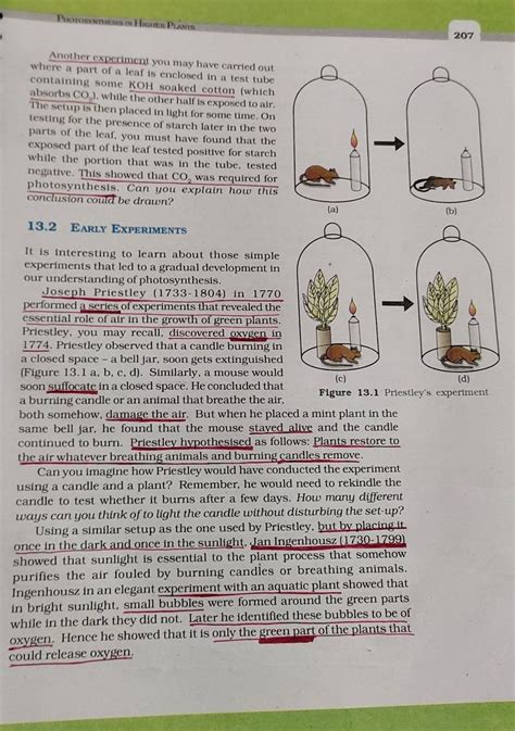 Another Experiment You May Have Carried Out Where A Part Of A Leaf Is Enc