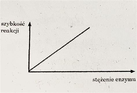 Opisz Zale No Mi Dzy St Eniem Enzymu A Szybko Ci Reakcji
