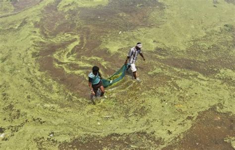 The Digusting Pollution in India’s River (14 pics) - Izismile.com