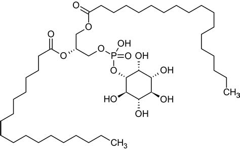 L Alpha Phosphatidylinositolphospholipase C Abcam