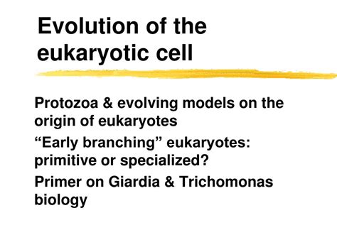 Ppt Evolution Of The Eukaryotic Cell Powerpoint Presentation Free Download Id4218943