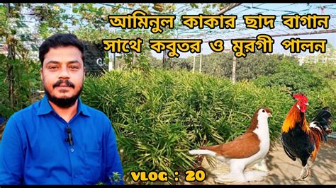 আমিনুল কাকার ছাদে কবুতর ও মুরগী পালন সাথে সকল সবজি বাগান চাষ পদ্ধতি। Vlog 20🙂 Youtube