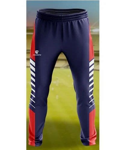 Cricket Team Jersey, Blue at Rs 700/piece in Bhilwara | ID: 23468365997