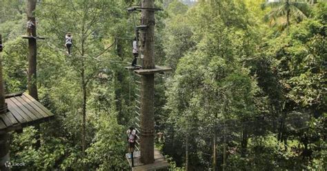 Skytrex Adventure Langkawi Malaysia Klook