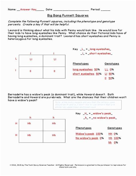 The Ultimate Guide To Monohybrid Punnett Squares Worksheet Answer Key