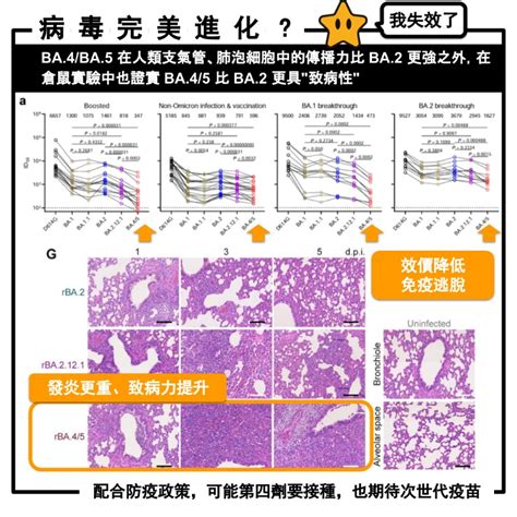 新冠病毒完美進化？研究：omicron Ba 5、ba 4發炎更重、致病力提升 姜冠宇醫師 健康遠見