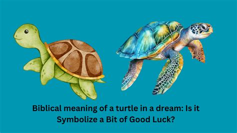 Biblical Meaning Of A Turtle In A Dream Is It Symbolize A Bit Of Good