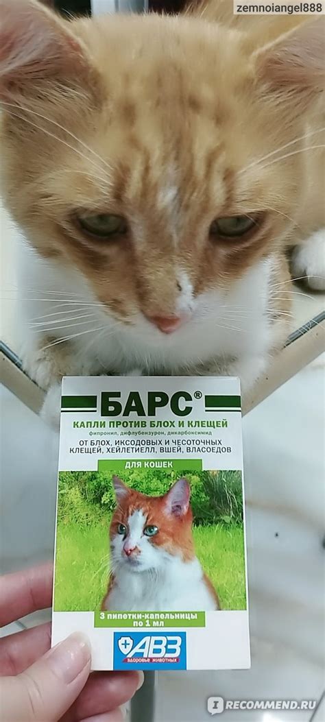 Капли от блох и клещей Барс 1мл для кошек массой от 3 кг - «Капли ...