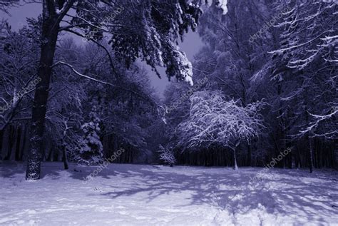 Winter night landscape Stock Photo by ©shaman1006 6308329