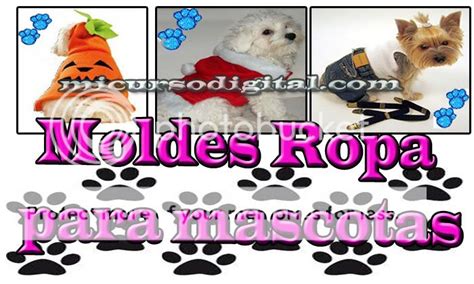 Curso Confecci N De Ropa Perros Moda Canina Crea Vestidos Mascota