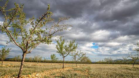 Das Wochenendwetter für Hessen bunt gemischt