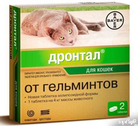 Лучшие средства от глистов для кошек и собак: лекарства и народные