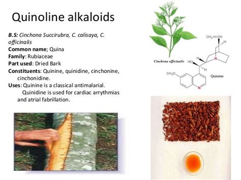 Biosynthetic classification of alkaloids