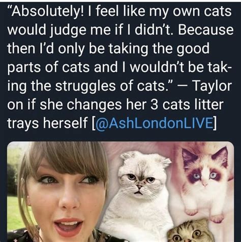 Taylor Swift Memes Clean